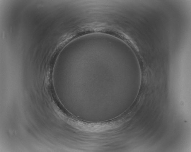 X0000080150018200612081333