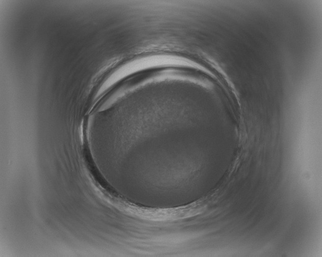 X0000080150019200612081333