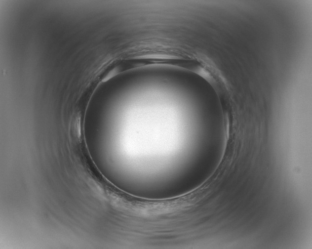 X0000080150021200612081333