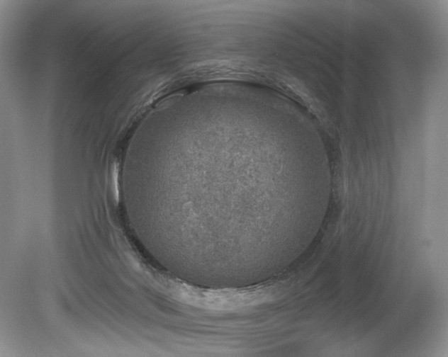 X0000080150022200612081333