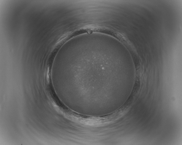 X0000080150024200612081333