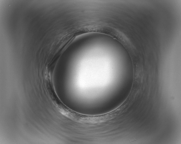 X0000080150025200612081333