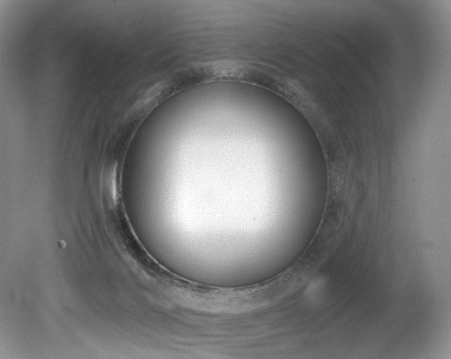 X0000080150028200612081333