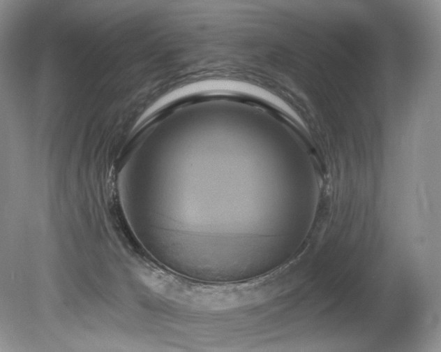 X0000080150029200612081333