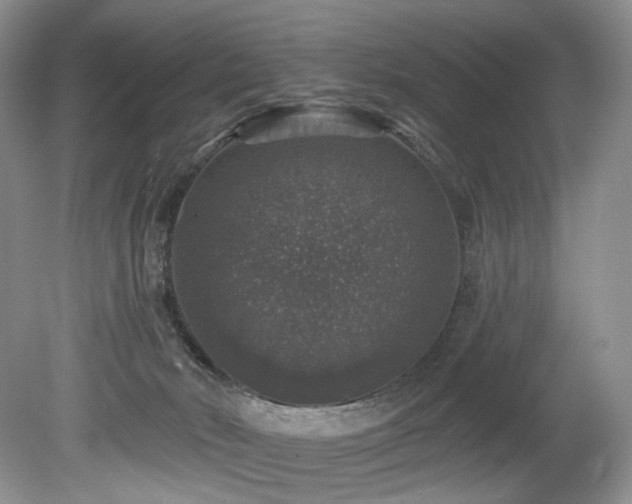 X0000080150030200612081333