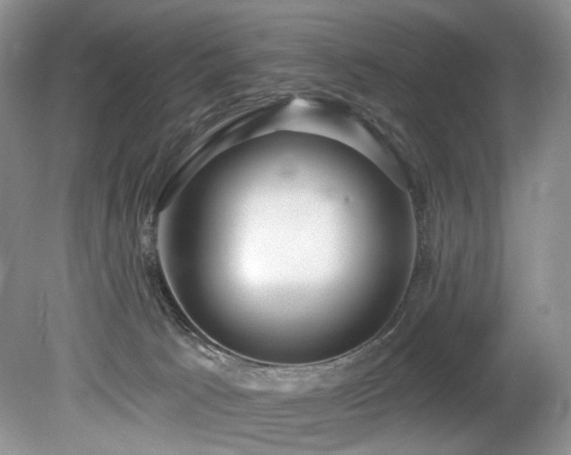 X0000080150033200612081333