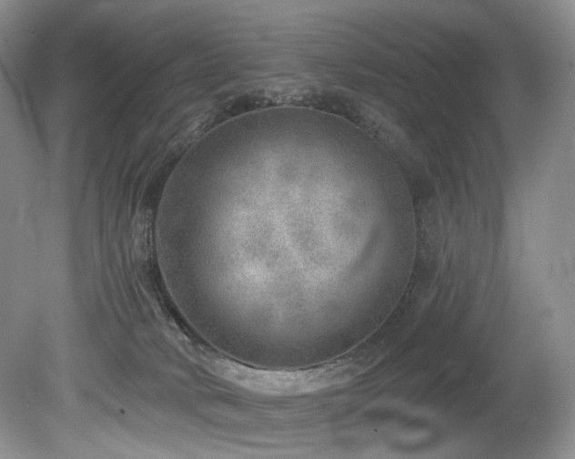 X0000080150034200612081333