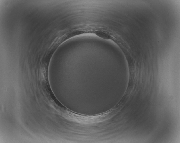 X0000080150035200612081333