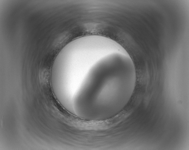 X0000080150036200612081333