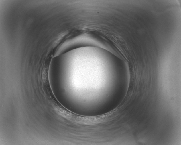 X0000080150037200612081333