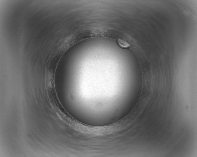 X0000080150038200612081333