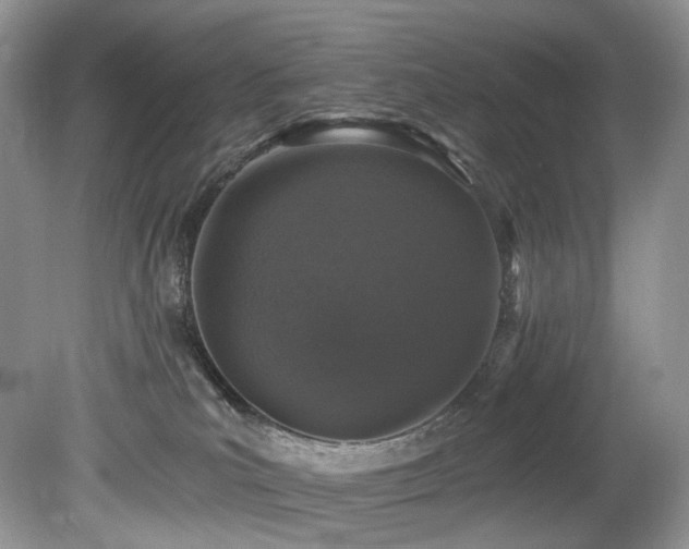 X0000080150039200612081333