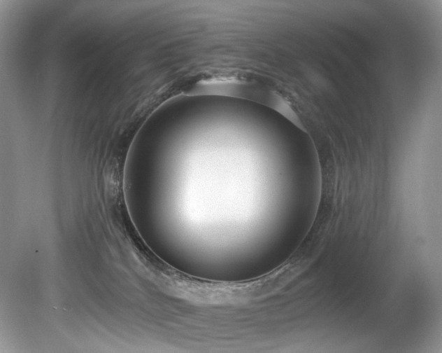 X0000080150040200612081333