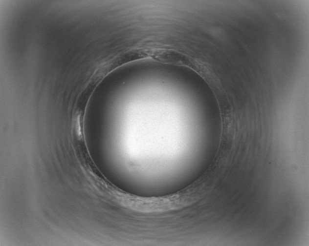 X0000080150042200612081333