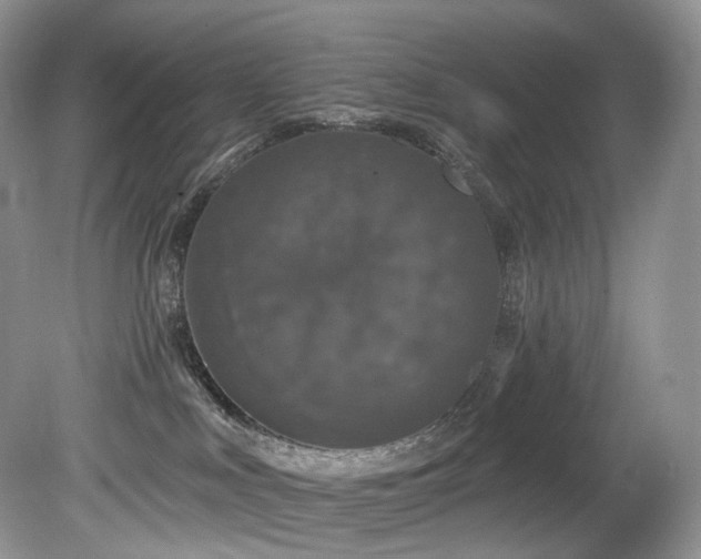 X0000080150043200612081333