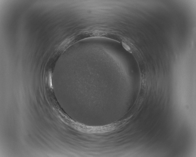 X0000080150046200612081333