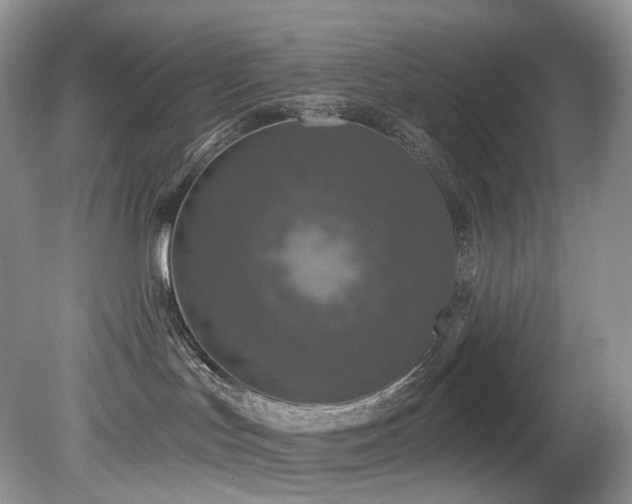 X0000080150047200612081333