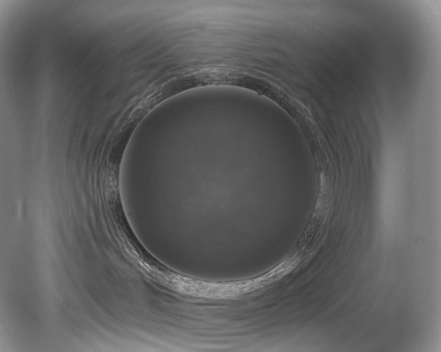 X0000080150048200612081333