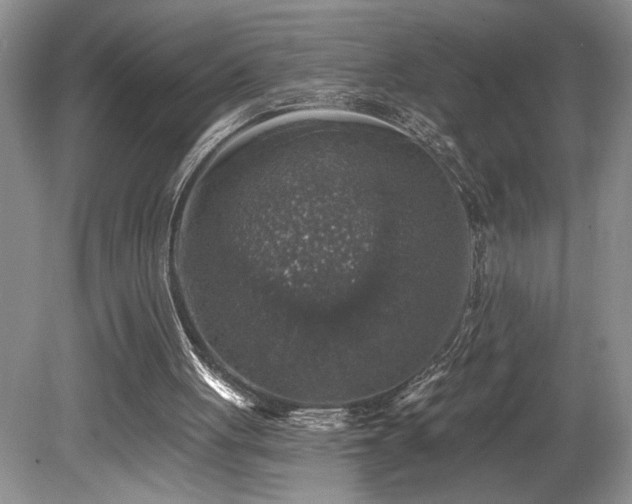 X0000080150051200612081332