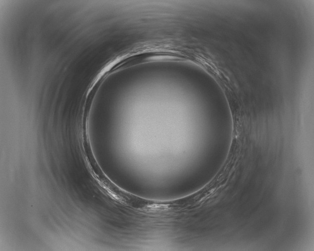 X0000080150052200612081332