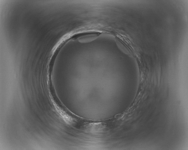 X0000080150054200612081332