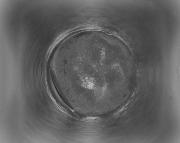 X0000080150055200612081332