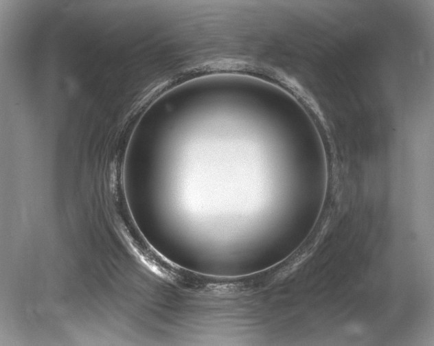 X0000080150057200612081332