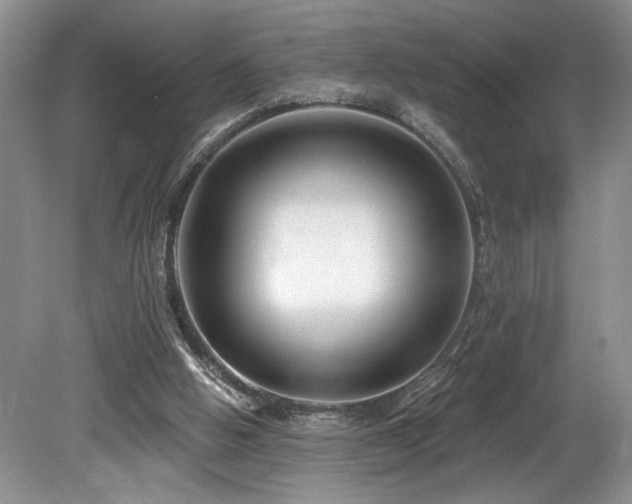 X0000080150058200612081332