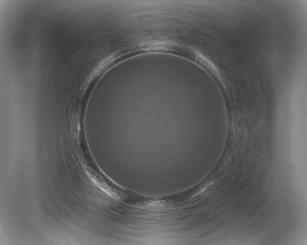 X0000080150059200612081332