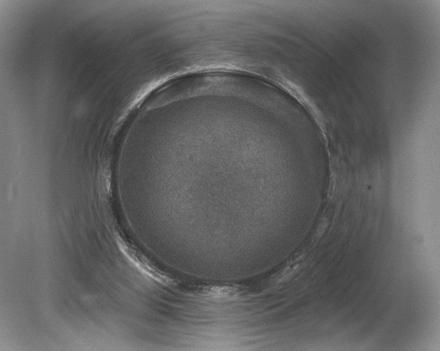 X0000080150060200612081332