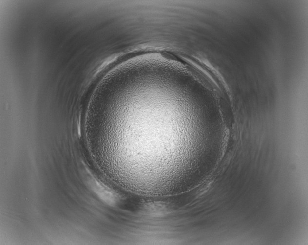 X0000080150062200612081332