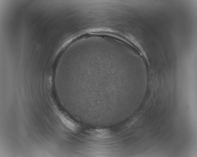 X0000080150063200612081332