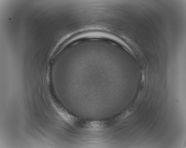 X0000080150064200612081332