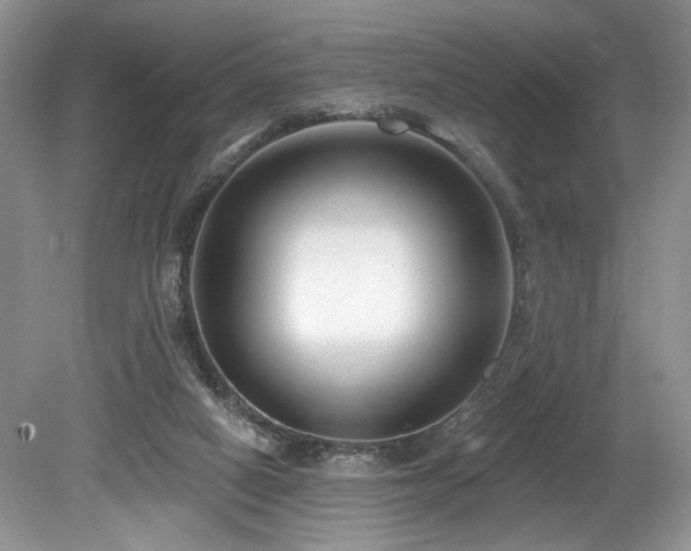 X0000080150066200612081332