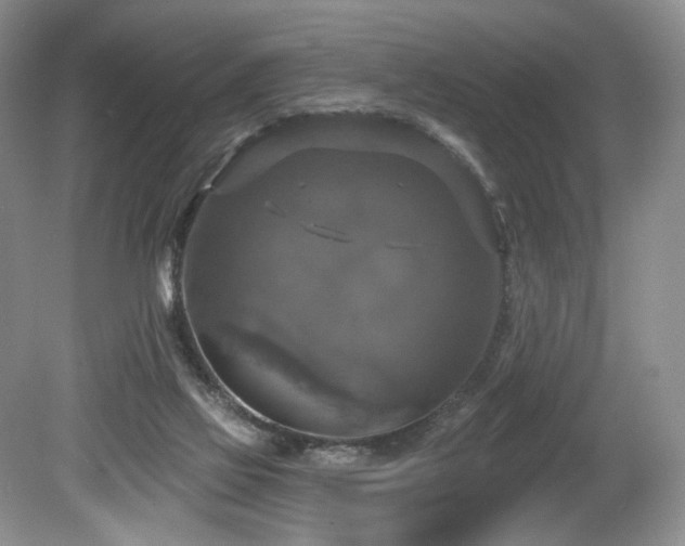 X0000080150069200612081332