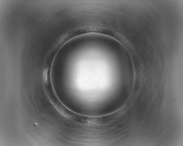 X0000080150070200612081332