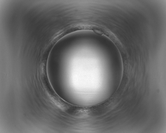 X0000080150071200612081332