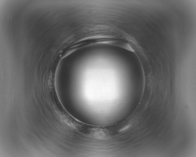 X0000080150073200612081332