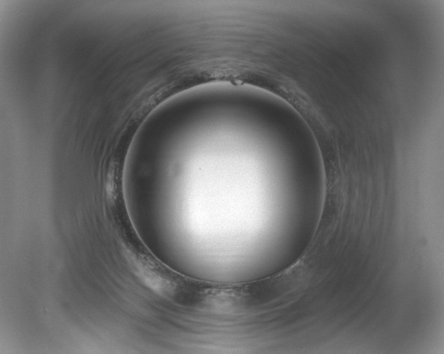 X0000080150074200612081332
