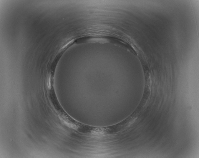 X0000080150076200612081333