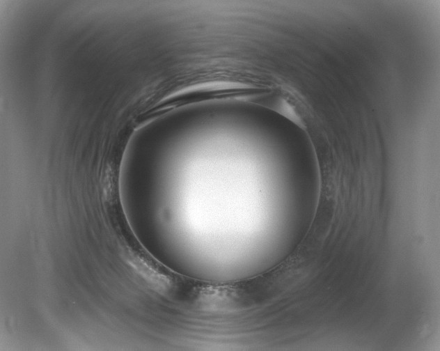 X0000080150077200612081333
