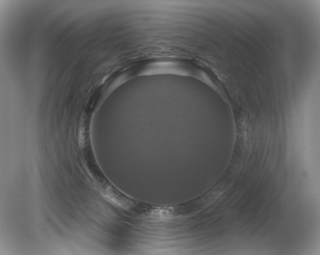 X0000080150080200612081333