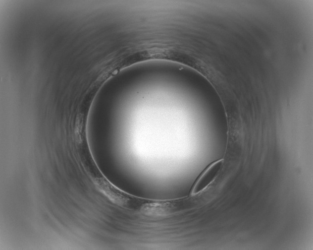 X0000080150082200612081333