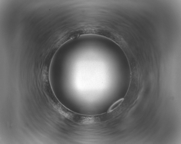 X0000080150083200612081333