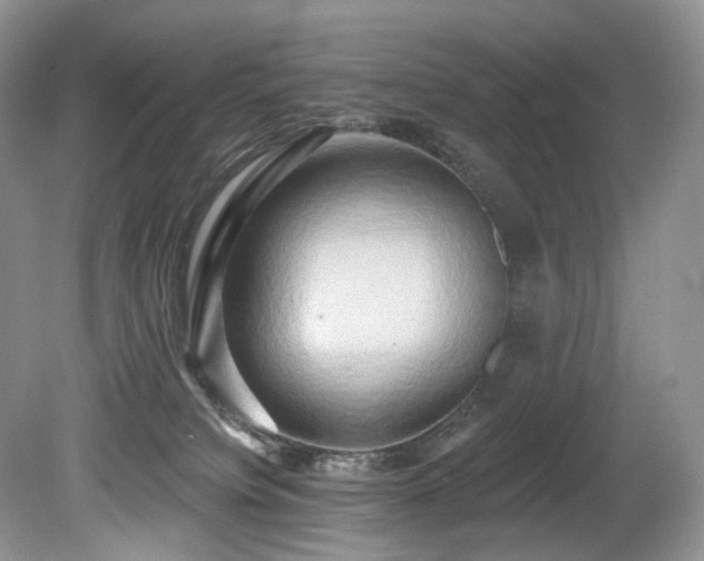 X0000080150084200612081333