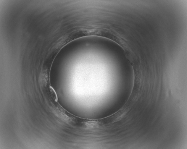 X0000080150085200612081333