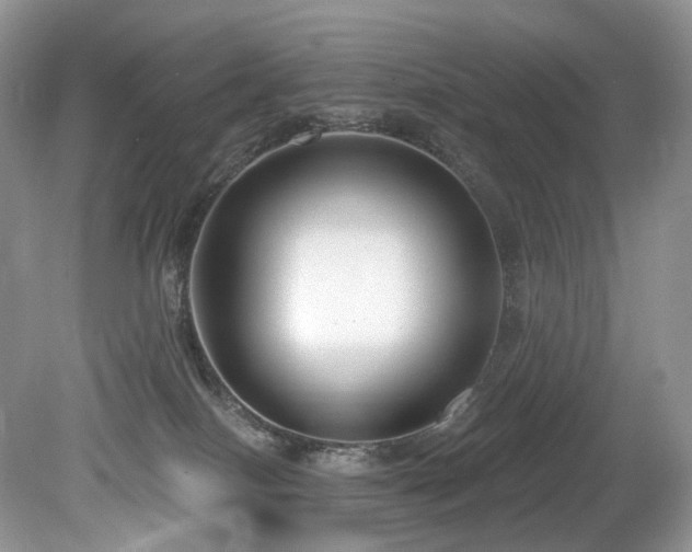 X0000080150086200612081333