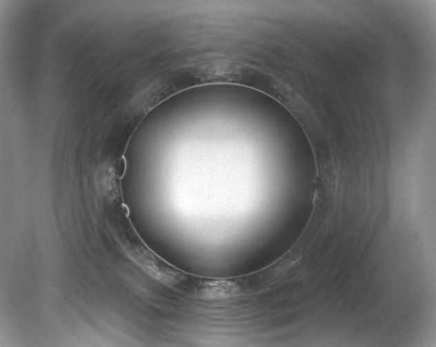 X0000080150087200612081333
