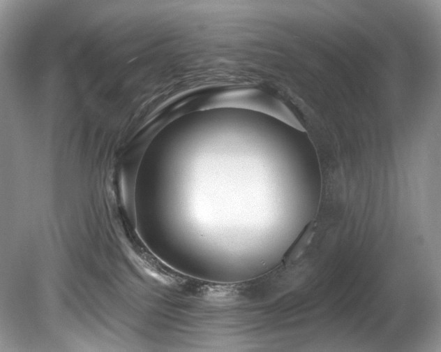 X0000080150088200612081333