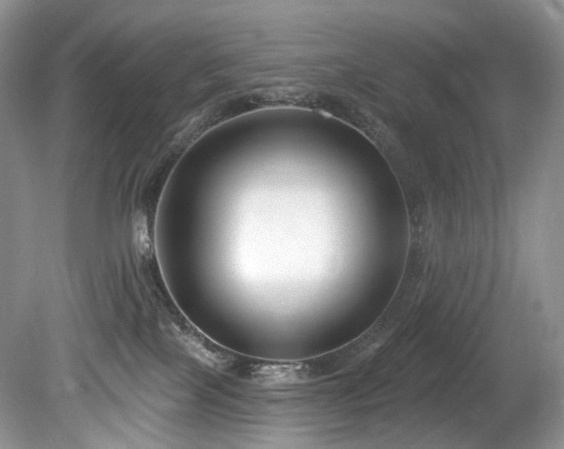 X0000080150089200612081333